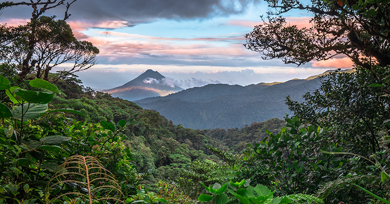 Moteverde skyline