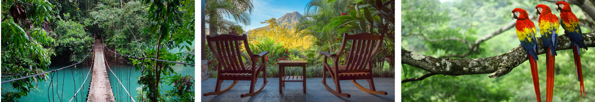 Travel with FPRA collage
