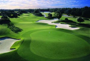 The Ritz-Carlton golf course